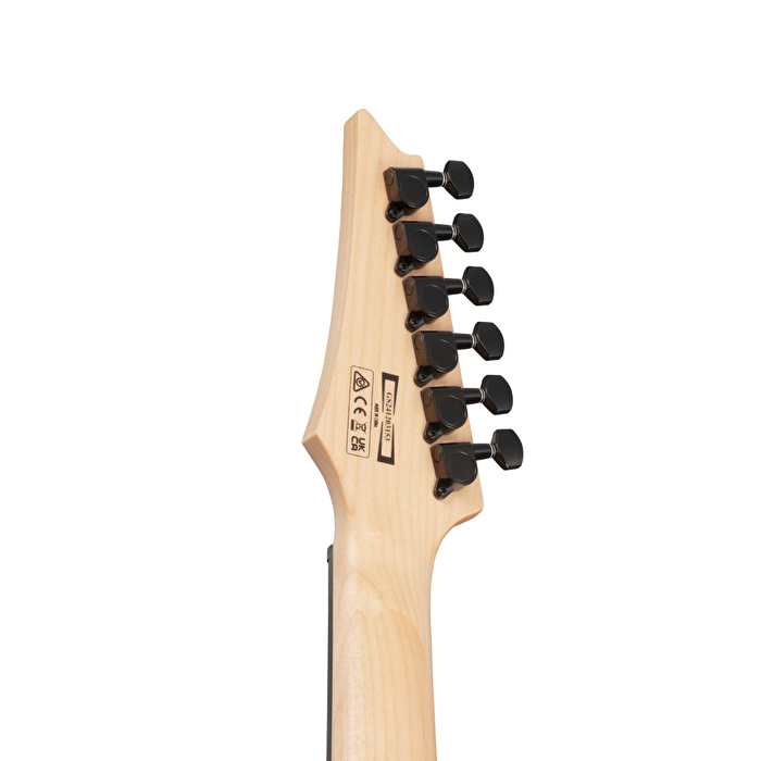 IBANEZ GRG120QASP-BKG  Elektro Gitar